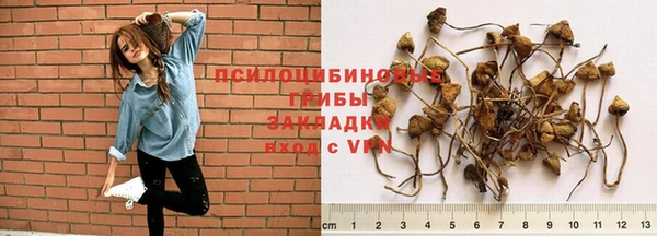 первитин Зерноград