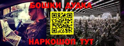 Альфа ПВП Дубна