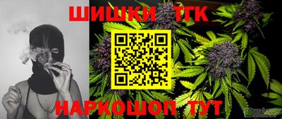Альфа ПВП Дубна