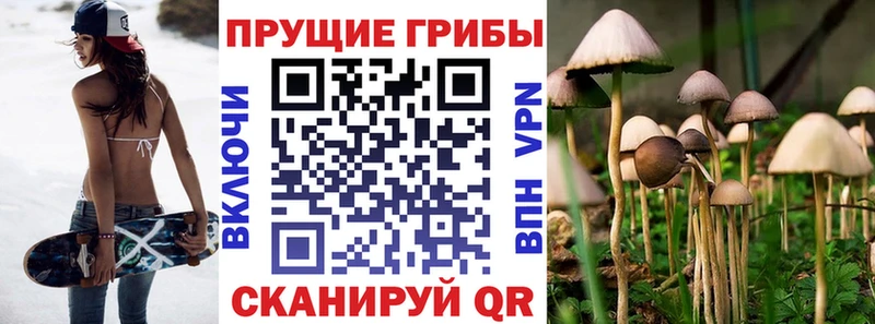 Псилоцибиновые грибы Psilocybine cubensis  Соль-Илецк 
