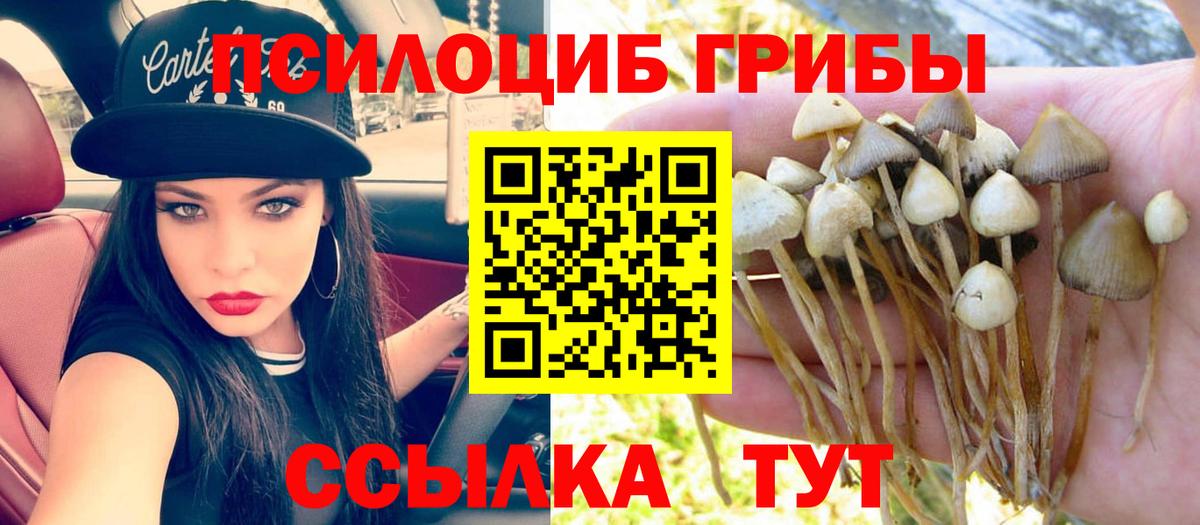 Псилоцибиновые грибы Psilocybine cubensis Соль-Илецк